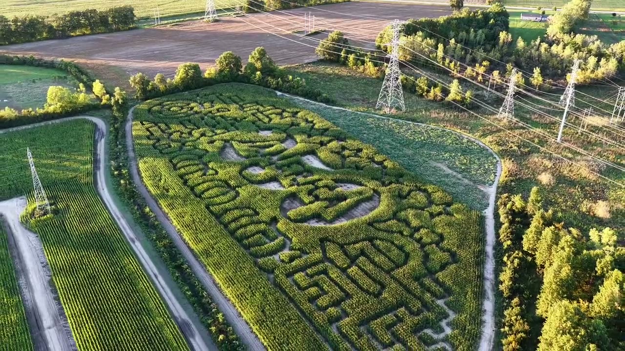 Kackleberry Farms, still from the shoot
