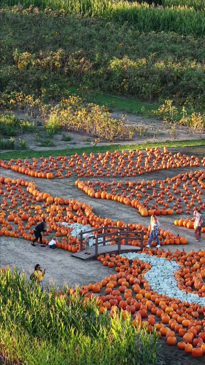 Kackleberry Farms, still from the shoot